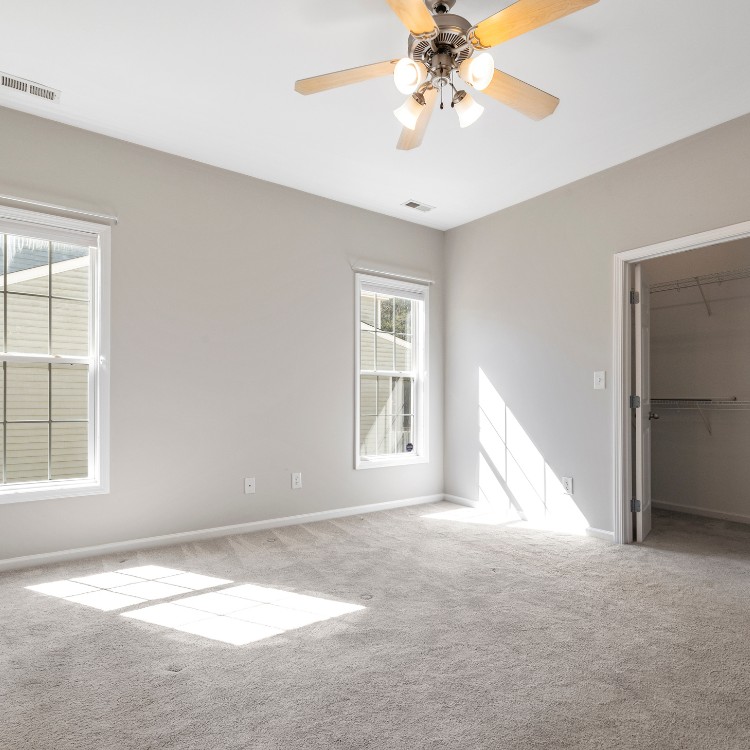 Cleaning in Livington, CO